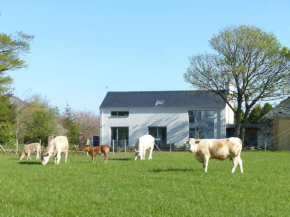 Barn Lane @ Drumagosker Rural Retreats